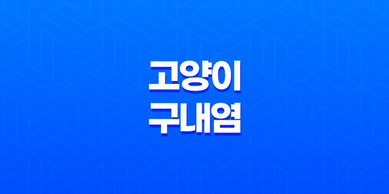 고양이 구내염 원인, 증상, 치료법, 개선방법 8 고양이 구내염 원인, 증상, 치료법, 개선방법 7