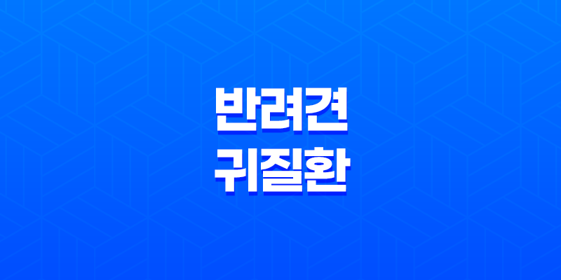 반려견 귀 질환 종류, 치료, 예방 방법 7