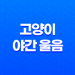 고양이 야간 울음 원인과 해결 방안 21