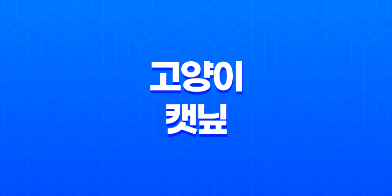 고양이와 캣닢, 신비한 교감과 효과의 지속 시간 8 고양이와 캣닢, 신비한 교감과 효과의 지속 시간 7