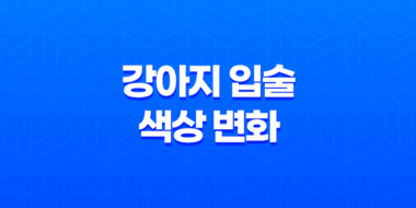 강아지 입술 색상 변화 원인과 대처법 33
