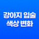 강아지 입술 색상 변화 원인과 대처법 23