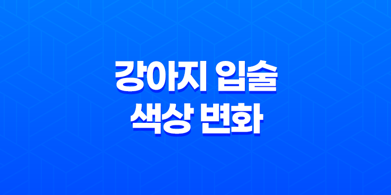 강아지 입술 색상 변화 원인과 대처법 8 강아지 입술 색상 변화 원인과 대처법 7