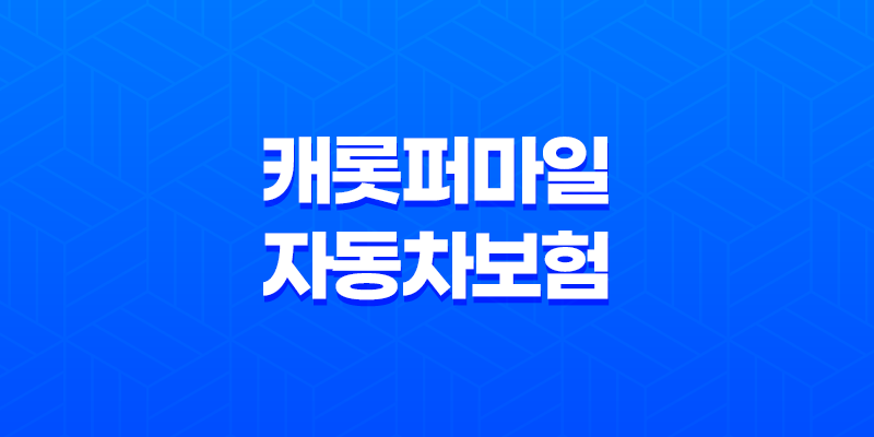 캐롯퍼마일 자동차보험 장점과 단점, 24시간 계산으로 새로운 보험 선택하기 8 캐롯퍼마일 자동차보험 장점과 단점, 24시간 계산으로 새로운 보험 선택하기 7