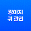 강아지 귀 관리와 귀질환 원인과 치료법 19