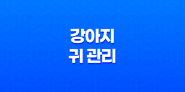 강아지 귀 관리와 귀질환 원인과 치료법 53