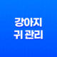 강아지 귀 관리와 귀질환 원인과 치료법 17