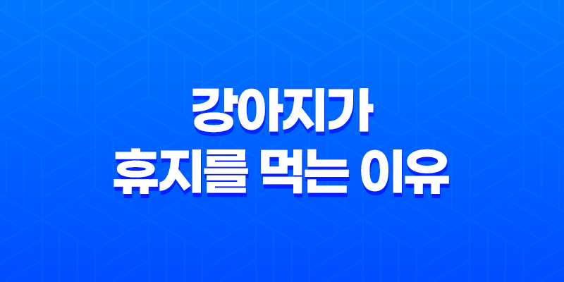 강아지가 휴지를 먹는 이유! 강아지들은 왜 휴지를 먹을까? 8 강아지가 휴지를 먹는 이유! 강아지들은 왜 휴지를 먹을까? 7