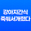 강아지간식 죽쒀서개줬다 호박죽 스프 후기 41