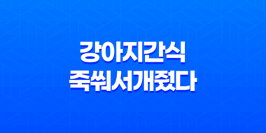 강아지간식 죽쒀서개줬다 호박죽 스프 후기 39