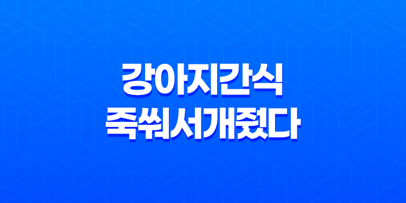 강아지간식 죽쒀서개줬다 호박죽 스프 후기 8 강아지간식 죽쒀서개줬다 호박죽 스프 후기 7