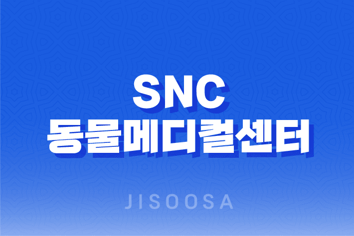 강남동물병원 SNC 동물메디컬센터 - 3차 예방접종 루이와 구름이 7