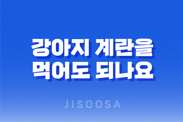 강아지-계란을-먹어도-되나요