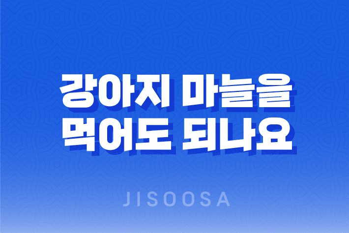강아지 마늘을 먹어도 되나요