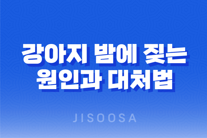 강아지 밤에 짖는 원인과 대처법