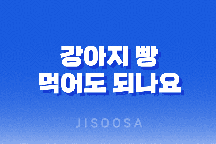 강아지 빵 먹어도 되나요