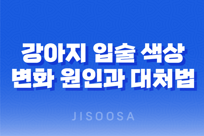 강아지 입술 색상 변화 원인과 대처법 21