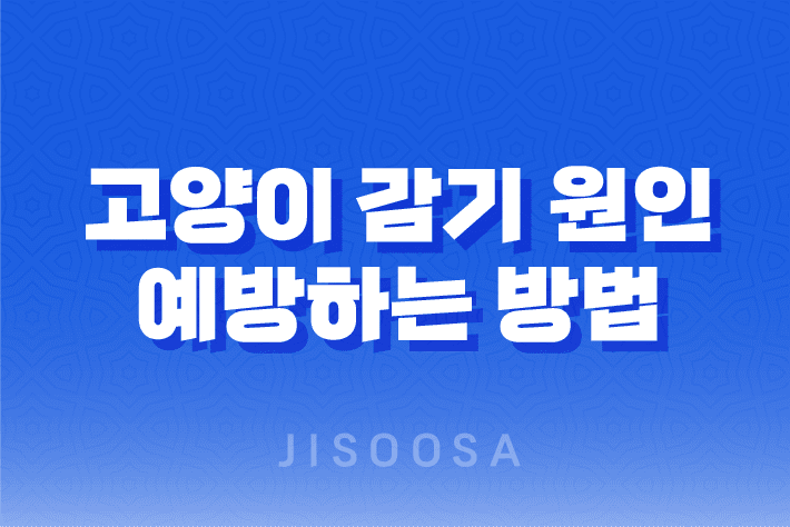 고양이 감기 원인 및 예방하는 방법, 백신 접종 1