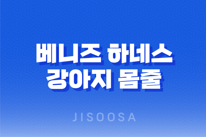 베니즈 하네스 강아지 몸줄 중고판매 - 안락하고 튼튼한 디자인으로 강아지와 산책을 더욱 즐겁게! 1