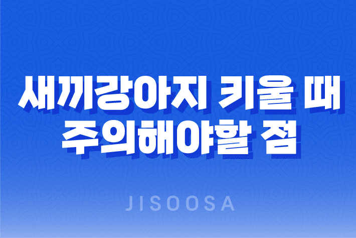 새끼강아지 키울 때 주의해야할 점 1