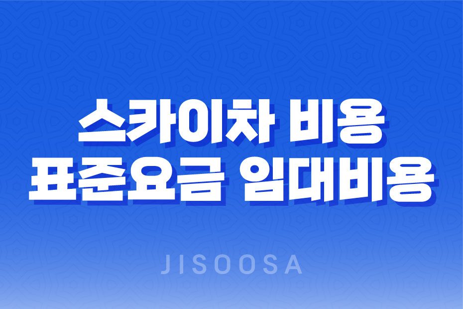 스카이차 비용