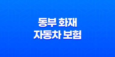 동부 화재 자동차 보험 DB손해보험 13