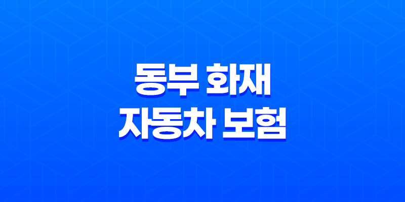 동부 화재 자동차 보험 DB손해보험 8 동부 화재 자동차 보험 DB손해보험 7