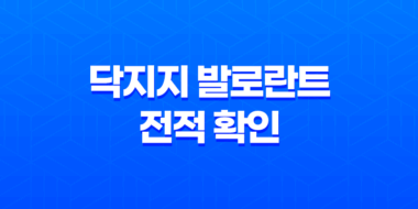 닥지지 발로란트 전적 확인 이용방법 45