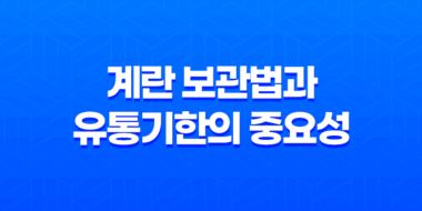 계란 보관법과 유통기한의 중요성 55