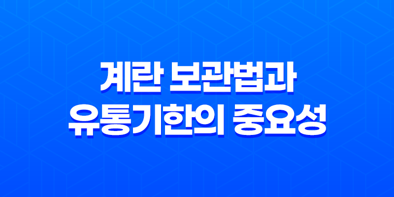 계란 보관법과 유통기한의 중요성 8 계란 보관법과 유통기한의 중요성 7