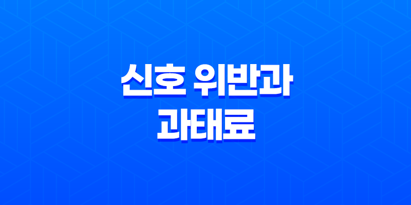 신호 위반과 과태료, 우리가 알아야 할 모든 것 8 신호 위반과 과태료, 우리가 알아야 할 모든 것 7