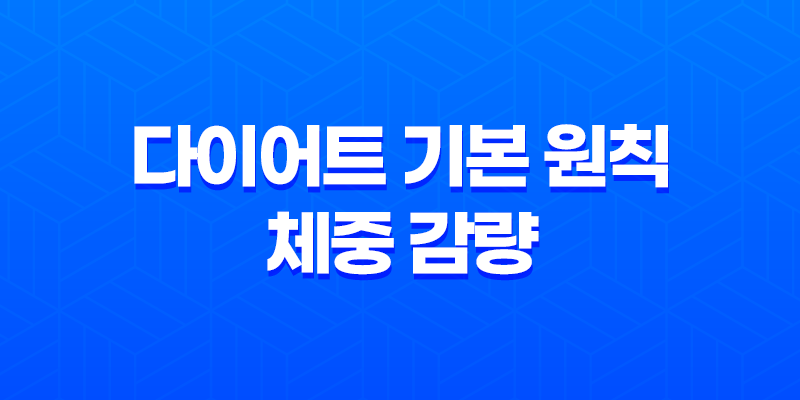 다이어트 기본 원칙, 체중 감량의 성공적인 이해 8 다이어트 기본 원칙, 체중 감량의 성공적인 이해 7