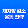 체지방 감소에 효과적인 운동 전략 15