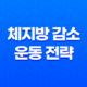 체지방 감소에 효과적인 운동 전략 17