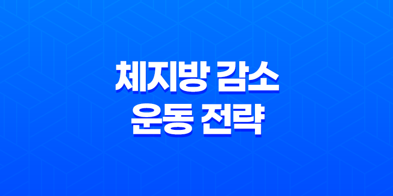 체지방 감소에 효과적인 운동 전략 8 체지방 감소에 효과적인 운동 전략 7