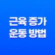 근육 증가에 필수적인 운동 방법, 근육 성장의 완벽한 안내서 15