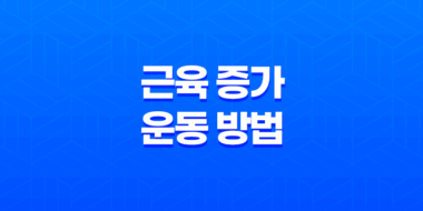 근육 증가에 필수적인 운동 방법, 근육 성장의 완벽한 안내서 95