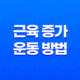 근육 증가에 필수적인 운동 방법, 근육 성장의 완벽한 안내서 17