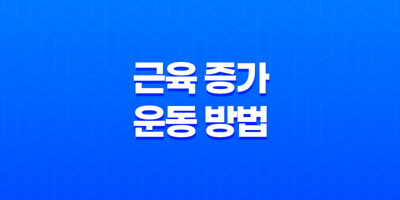 근육 증가에 필수적인 운동 방법, 근육 성장의 완벽한 안내서 8 근육 증가에 필수적인 운동 방법, 근육 성장의 완벽한 안내서 7
