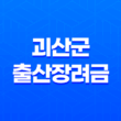 괴산군 출산장려금 및 육아지원정책 총정리 29