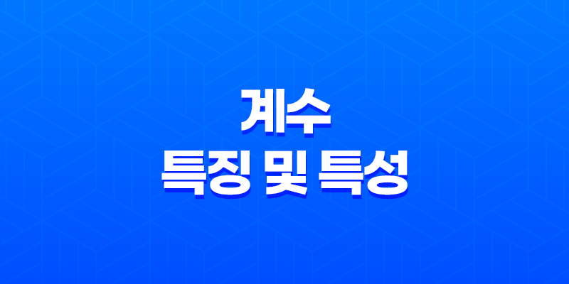 계수(癸水)의 특징 및 특성 7