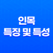 인목(寅木)의 특징 및 특성 13