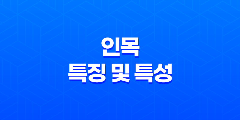 인목(寅木)의 특징 및 특성 8 인목(寅木)의 특징 및 특성 7