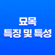 묘목(卯木)의 특징 및 특성 15