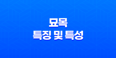 묘목(卯木)의 특징 및 특성 27