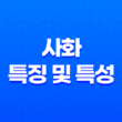 사화(巳火)의 특징 및 특성 15