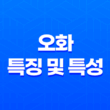 오화(午火)의 특징 및 특성 17