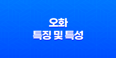 오화(午火)의 특징 및 특성 35