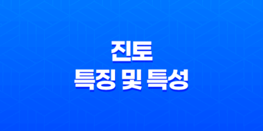진토(辰土)의 특징 및 특성 37