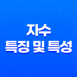 자수(子水)의 특징 및 특성 15